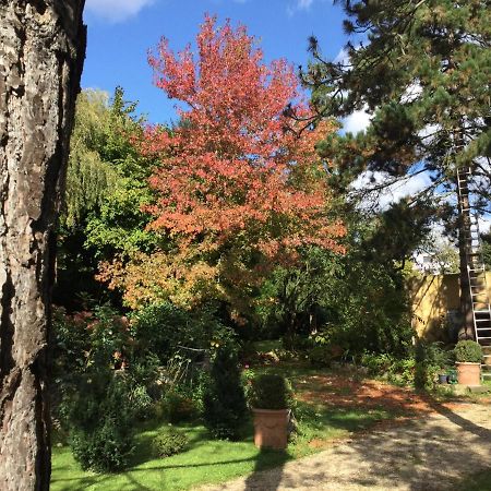 Appartement Fond De Jardin 1 Etage Palaiseau Zewnętrze zdjęcie